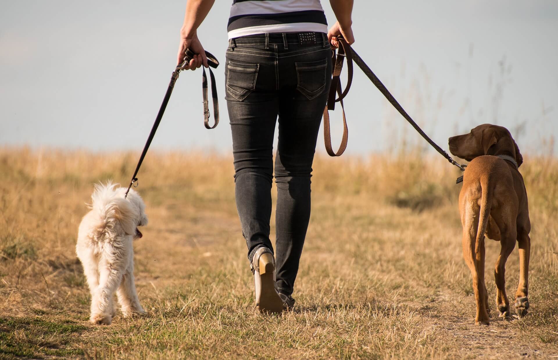 Walking to cope with stress